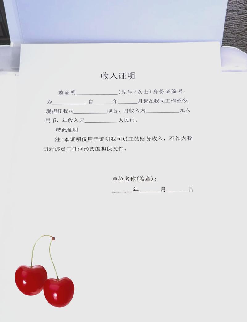 杭州代开收入证明的正确姿势：张会计的突围战